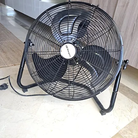 Daire Calanova Dream *